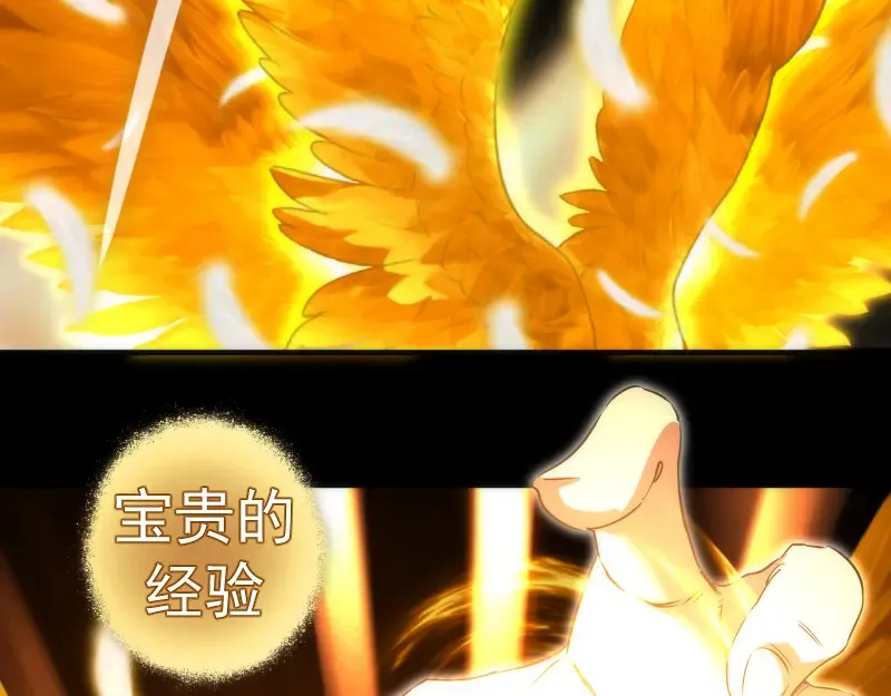 224 空降 第66页