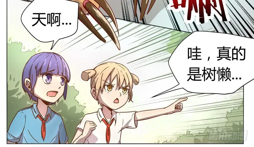 奇葩动物在这里 第11页