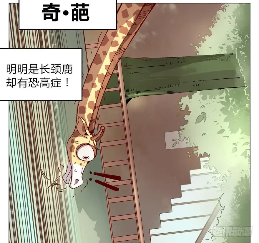 奇葩动物在这里 第29页