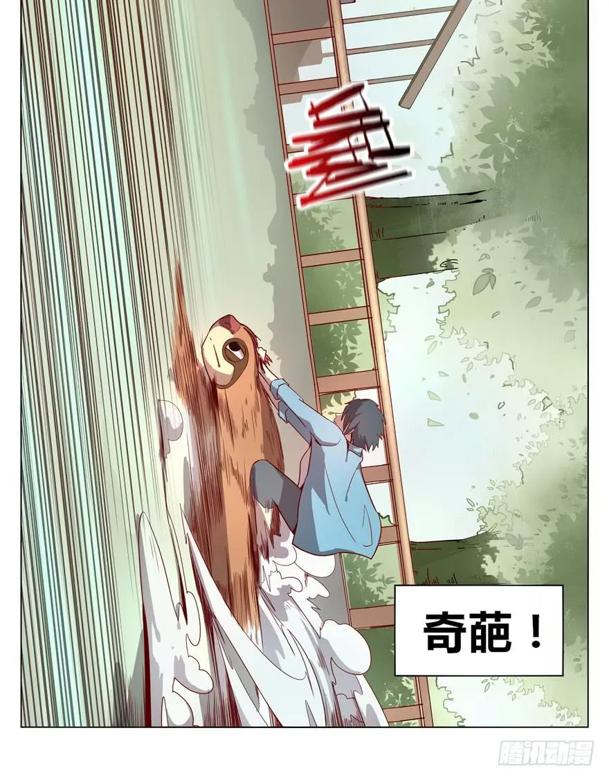 奇葩动物在这里 第30页