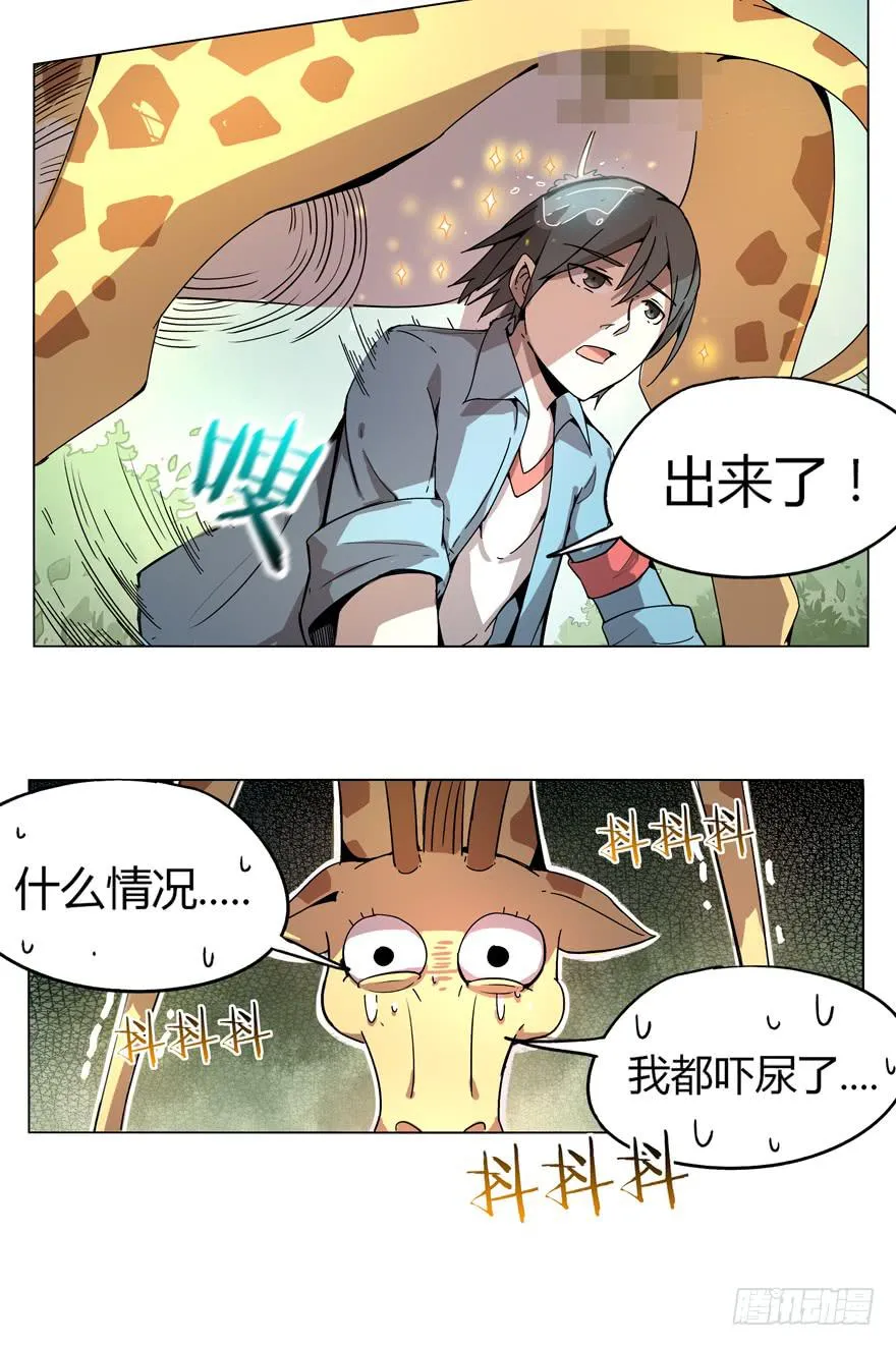 奇葩动物在这里 第38页