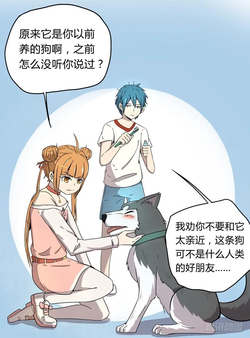 宠物是主人的克星 第15页