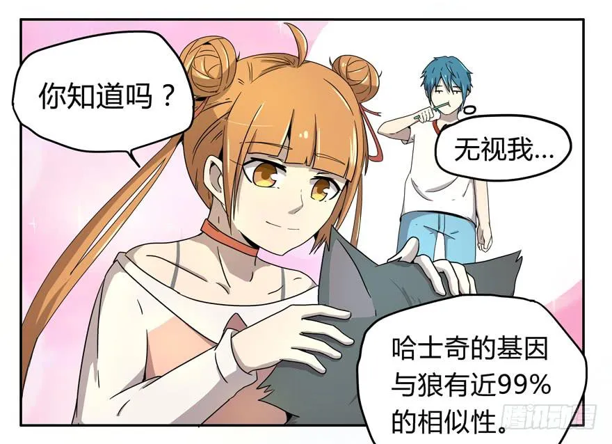 宠物是主人的克星 第17页