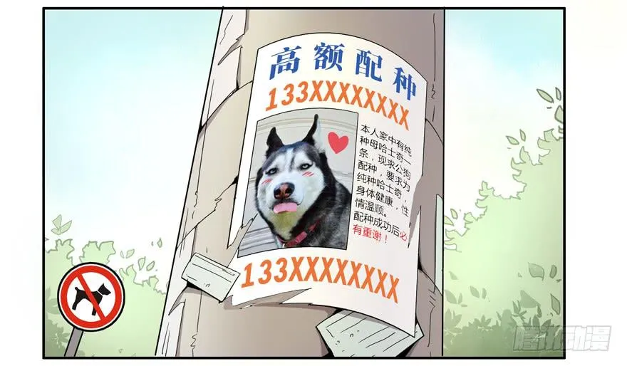 人生就是不断地奔跑 第26页