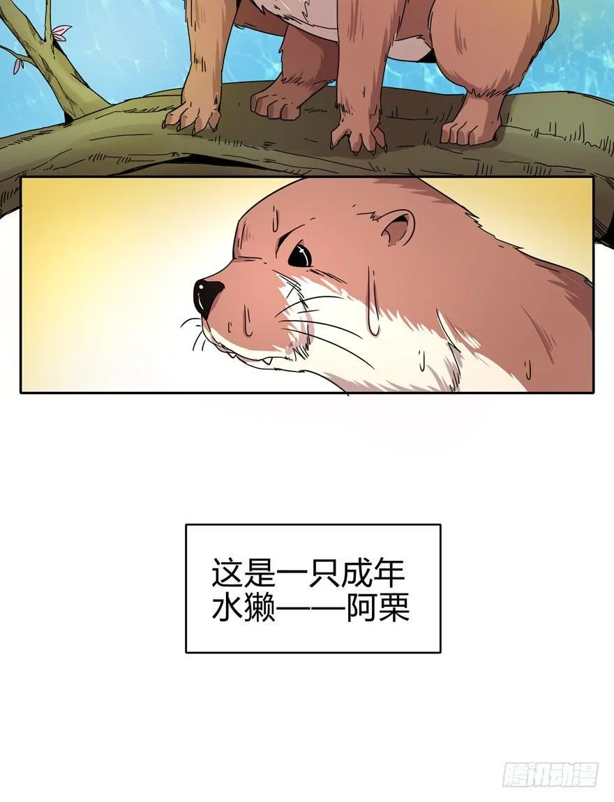 只有食物给你真实的回报 第6页