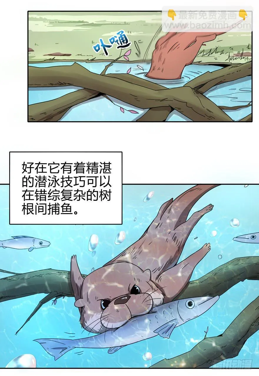 只有食物给你真实的回报 第7页