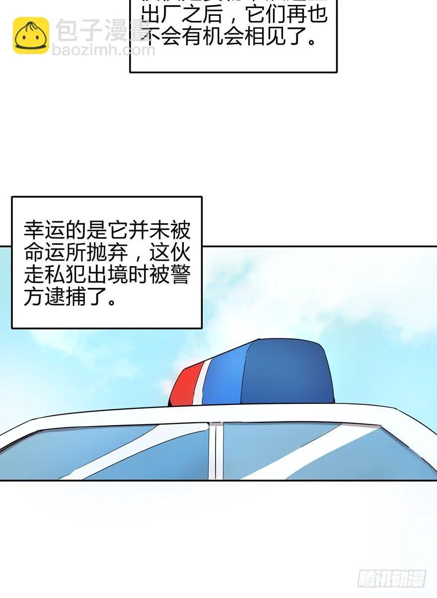 只有食物给你真实的回报 第12页