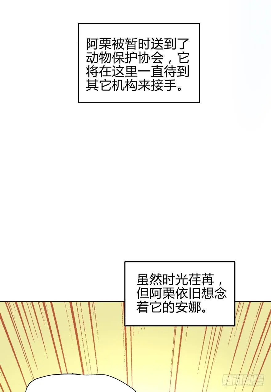 只有食物给你真实的回报 第13页