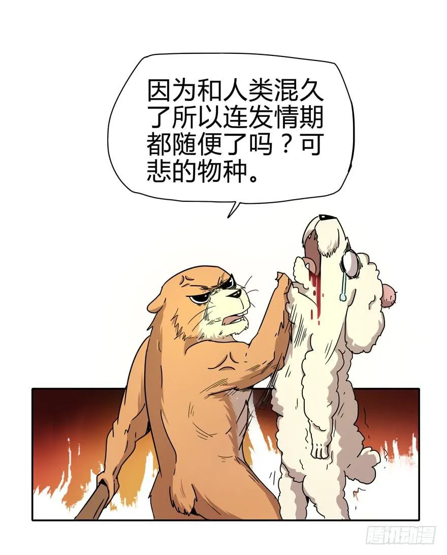只有食物给你真实的回报 第26页