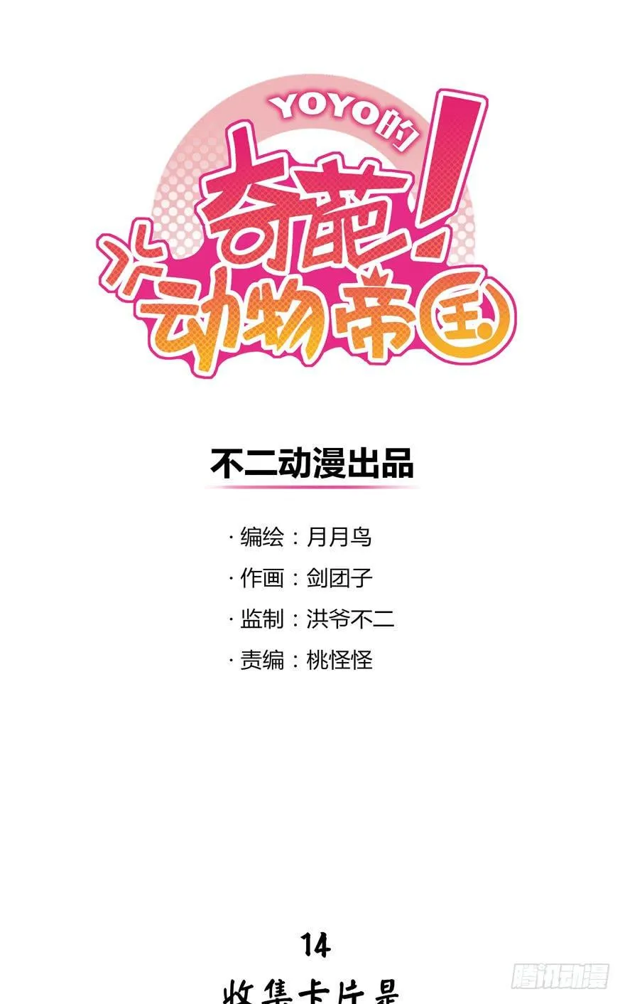 收集卡片是男人小时候的浪漫 第1页