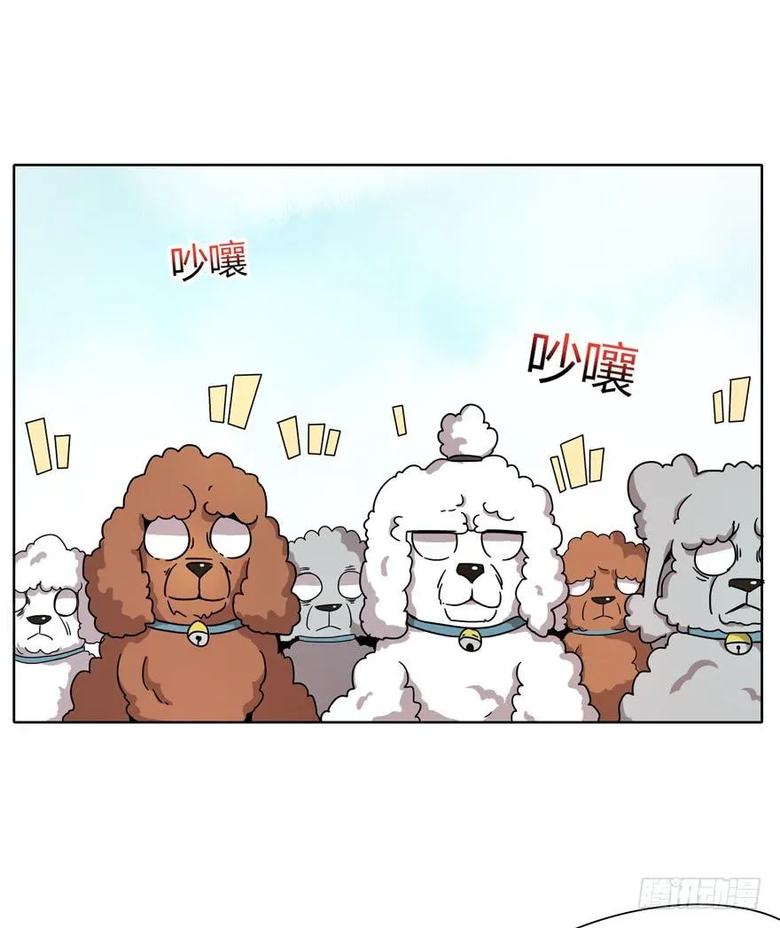 收集卡片是男人小时候的浪漫 第35页