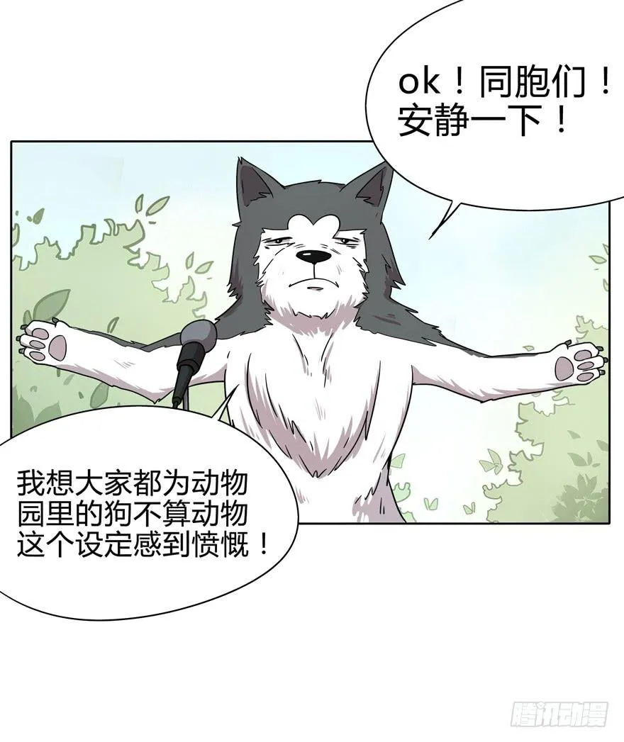 收集卡片是男人小时候的浪漫 第36页