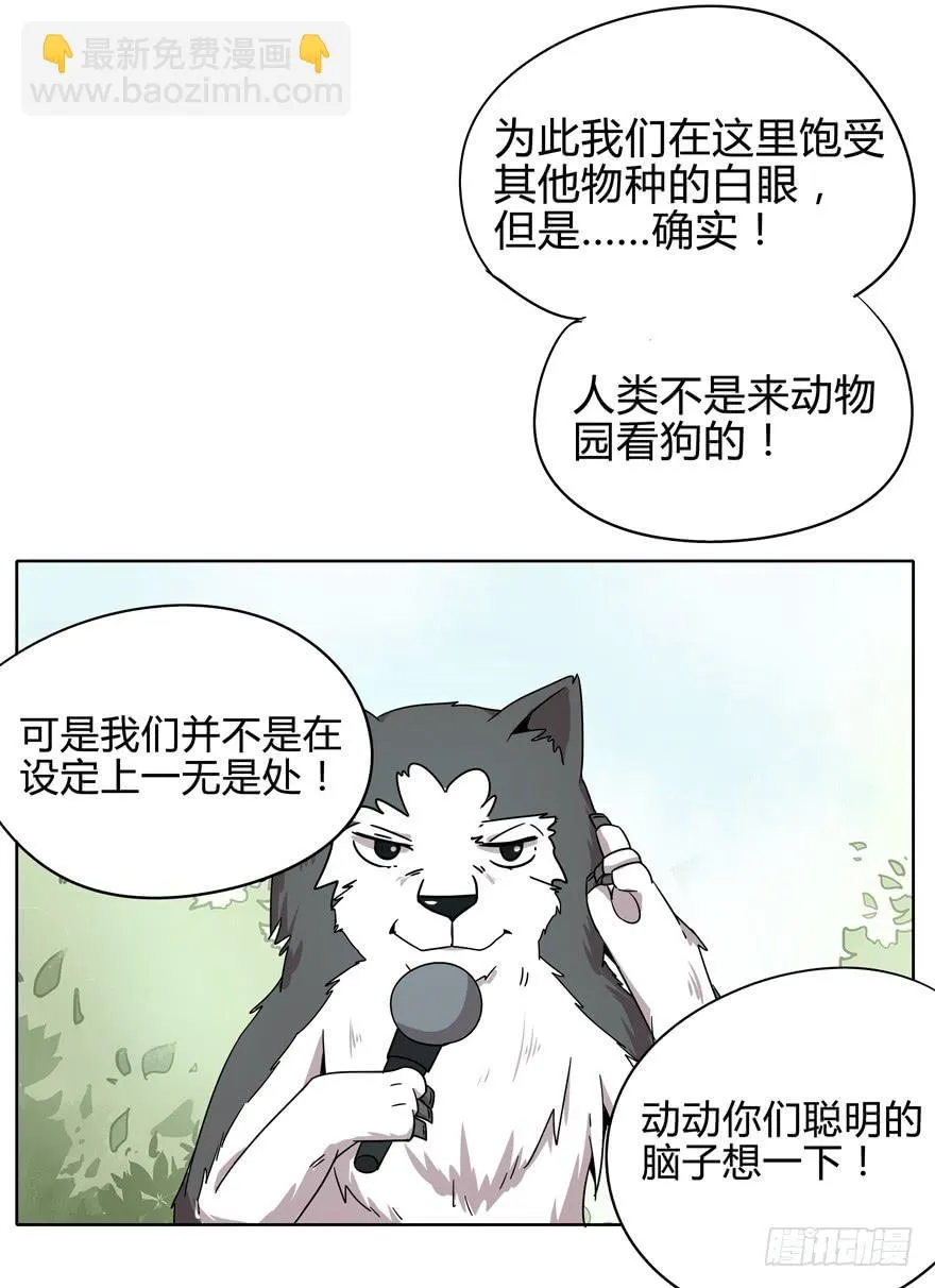 收集卡片是男人小时候的浪漫 第37页