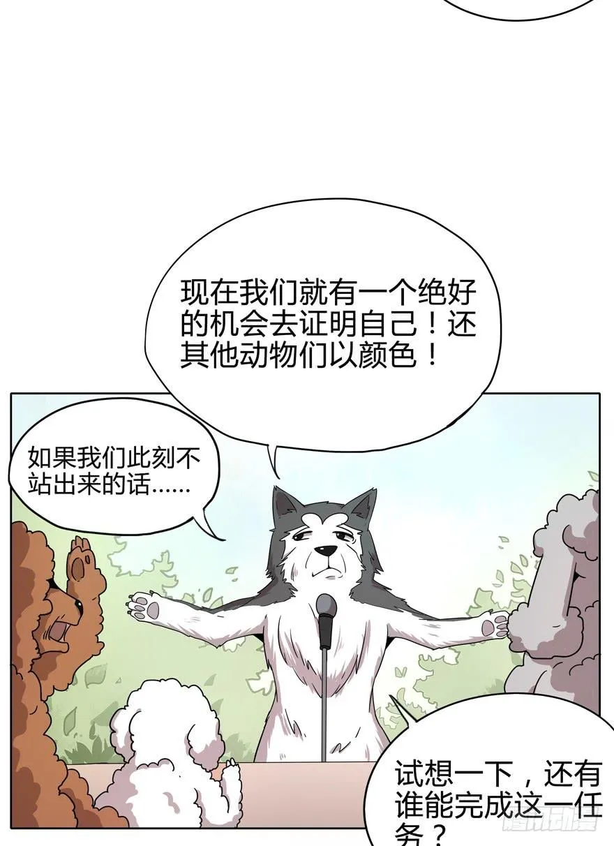 收集卡片是男人小时候的浪漫 第38页