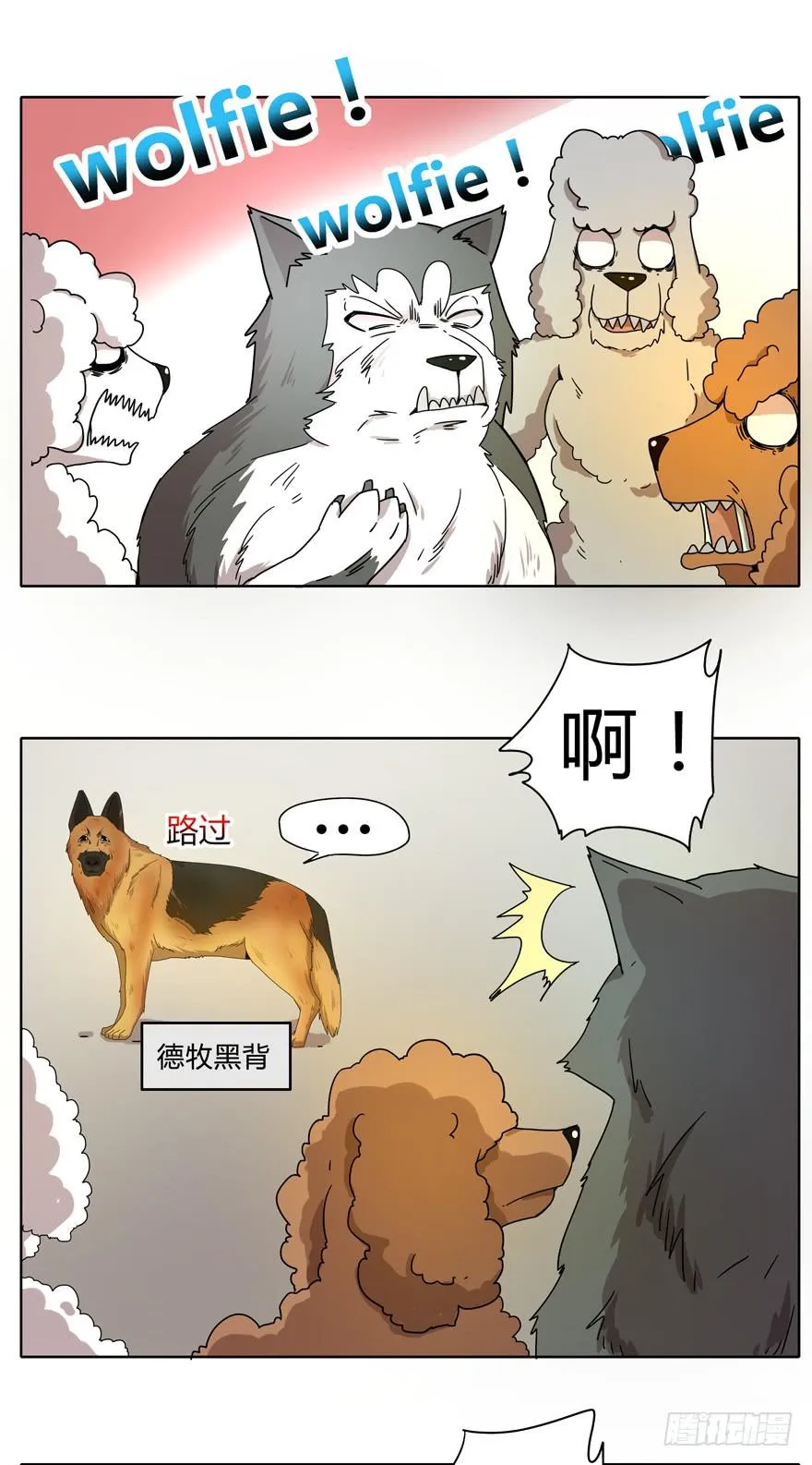 收集卡片是男人小时候的浪漫 第45页