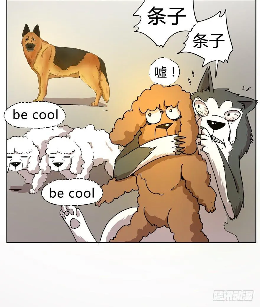 收集卡片是男人小时候的浪漫 第46页
