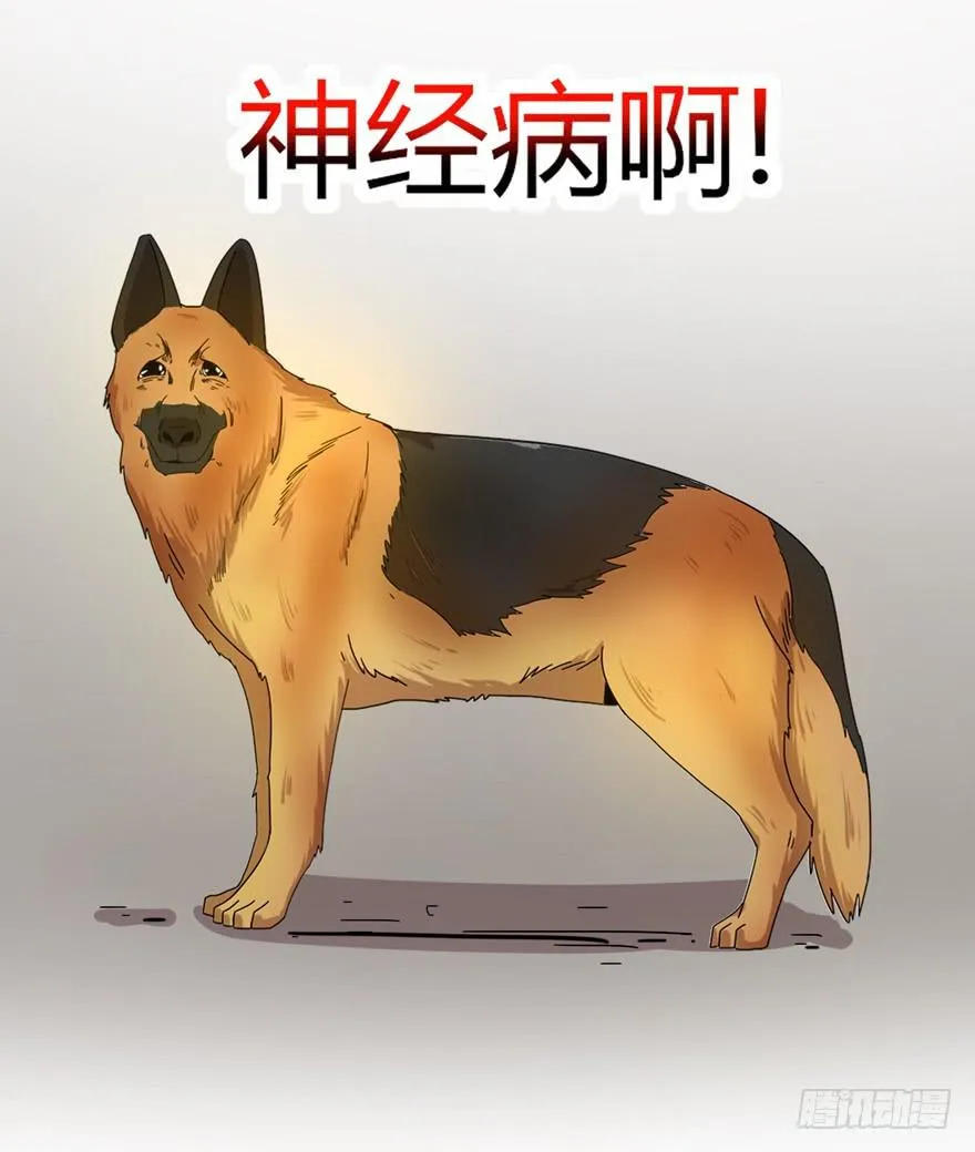 收集卡片是男人小时候的浪漫 第47页