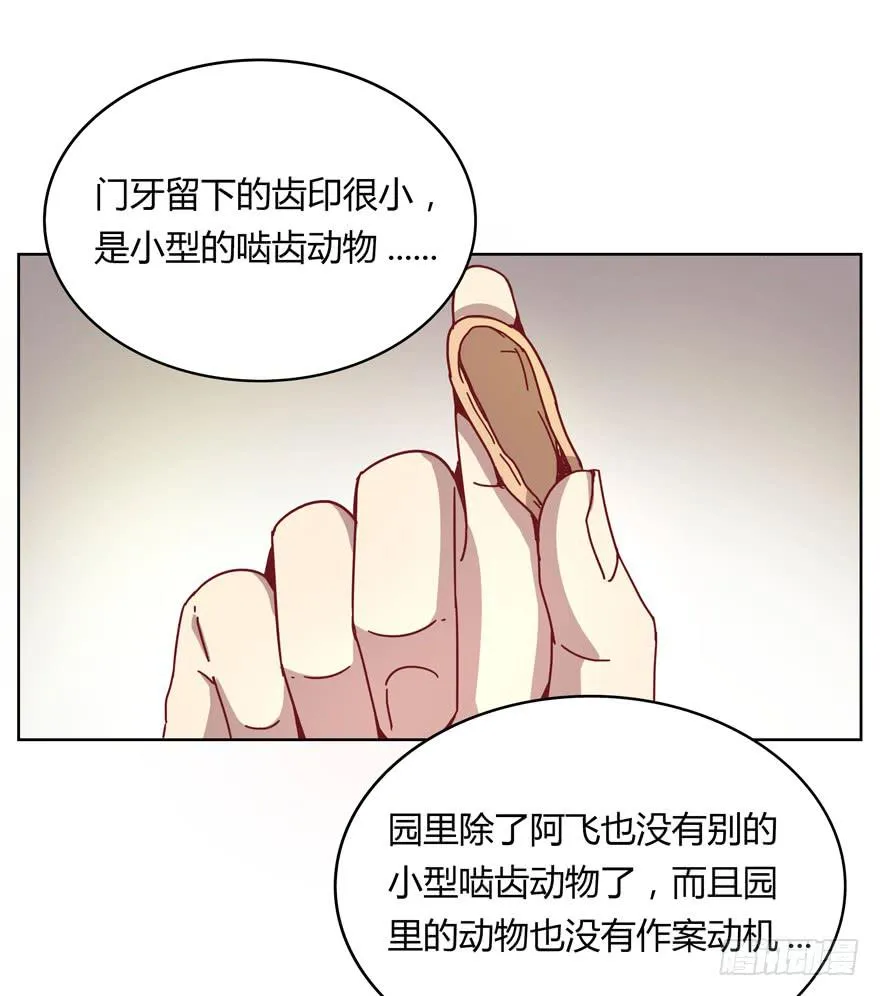鼠疫 第11页