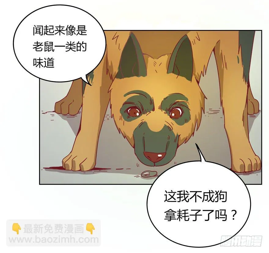 鼠疫 第25页