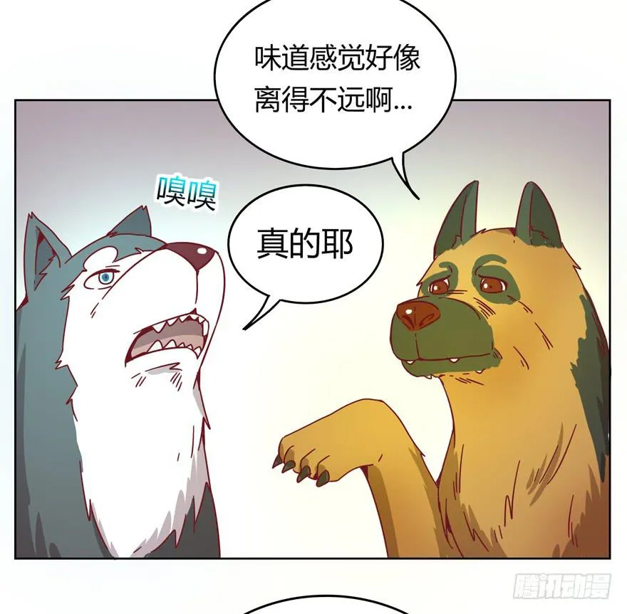 鼠疫 第27页