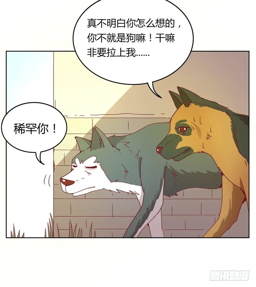 鼠疫 第28页