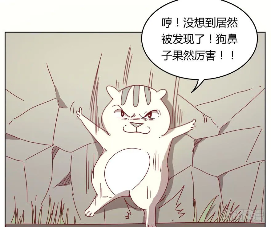 鼠疫 第37页