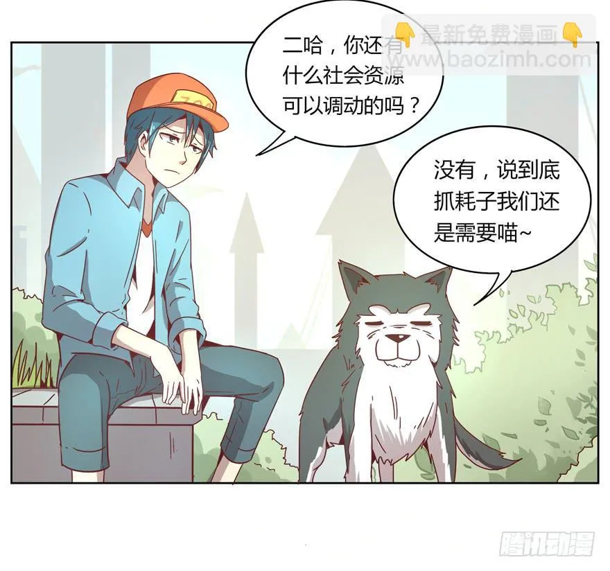 Batmao 第5页