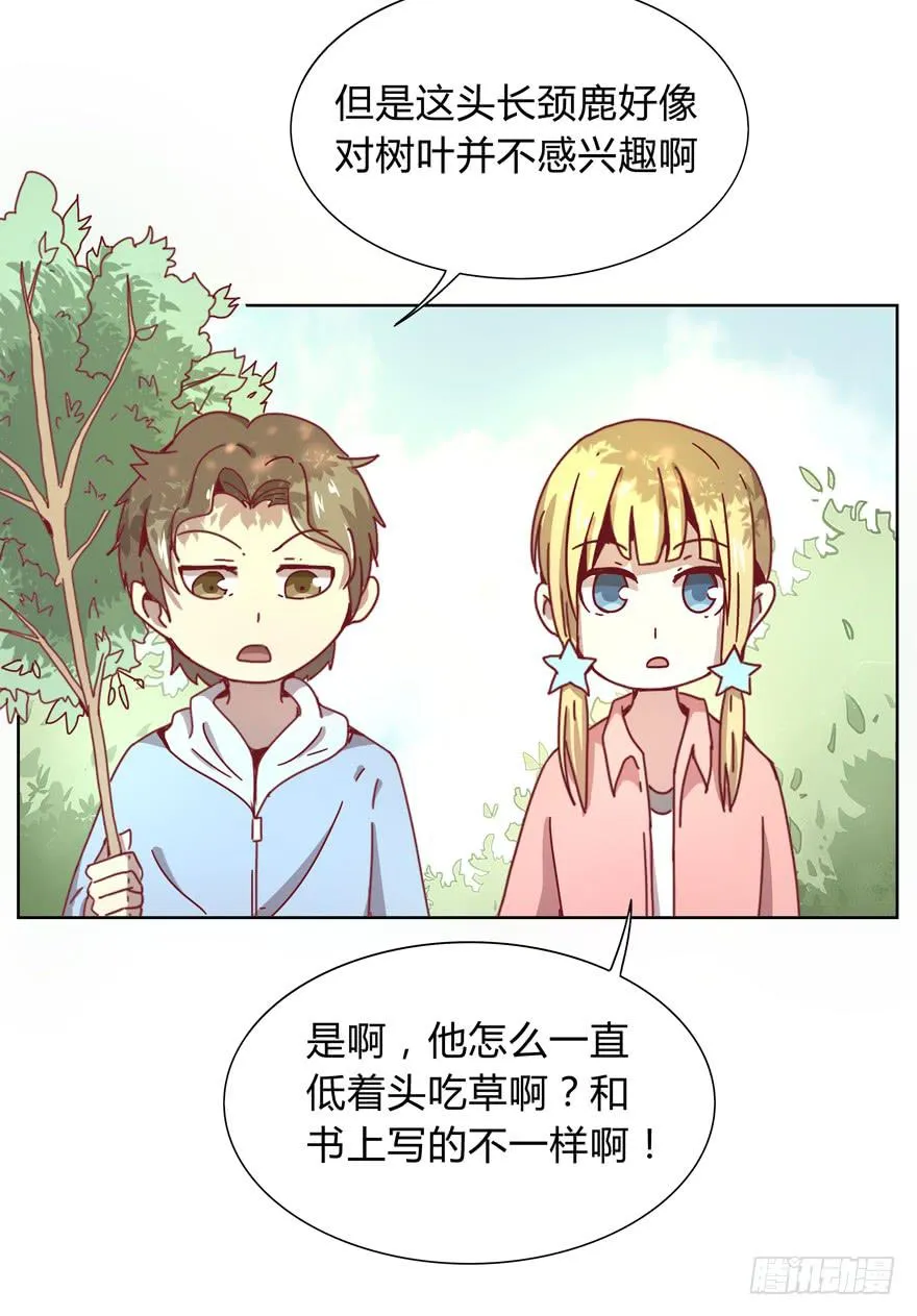别低头 王冠会掉 第5页