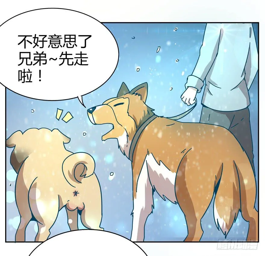 新年快乐！ 第33页