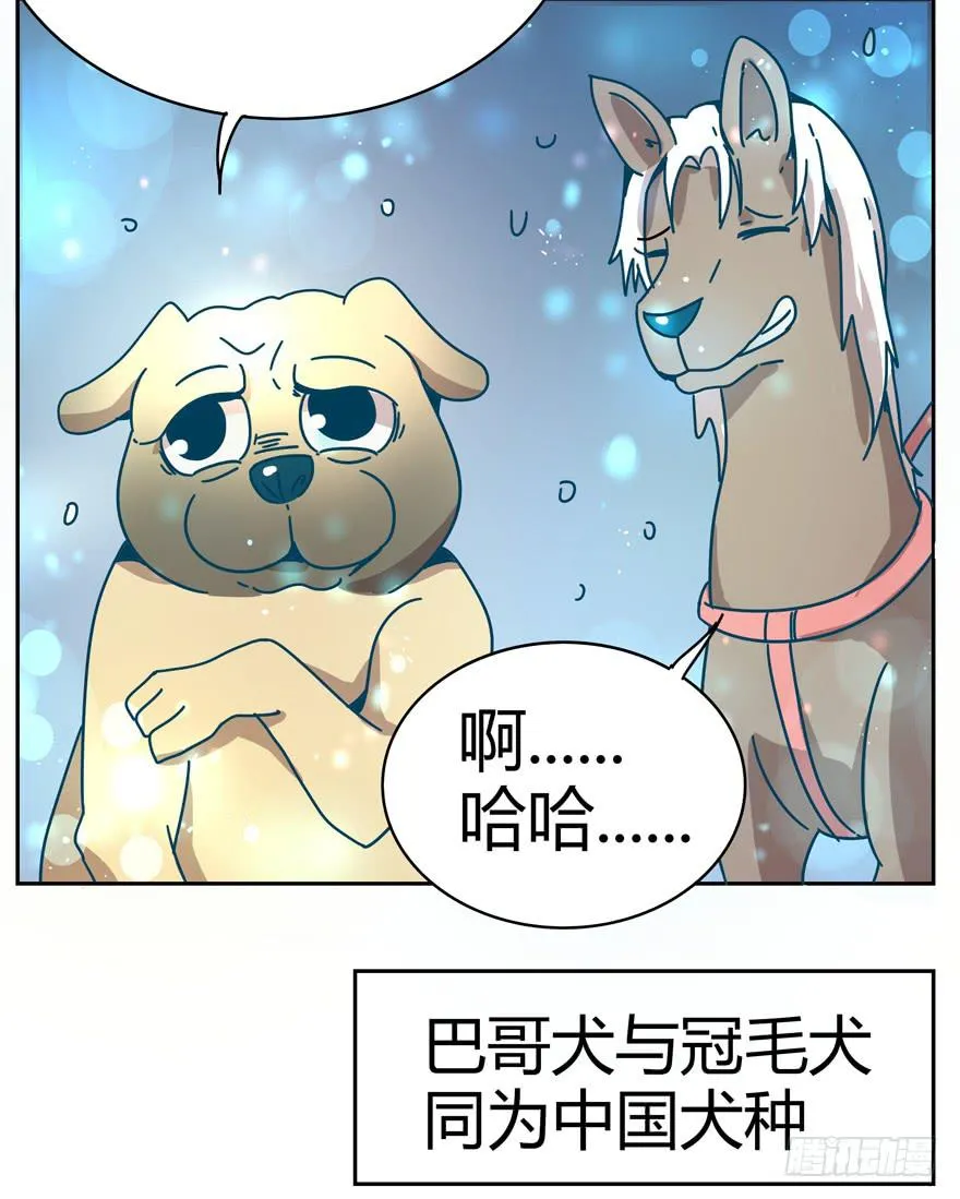 新年快乐！ 第36页
