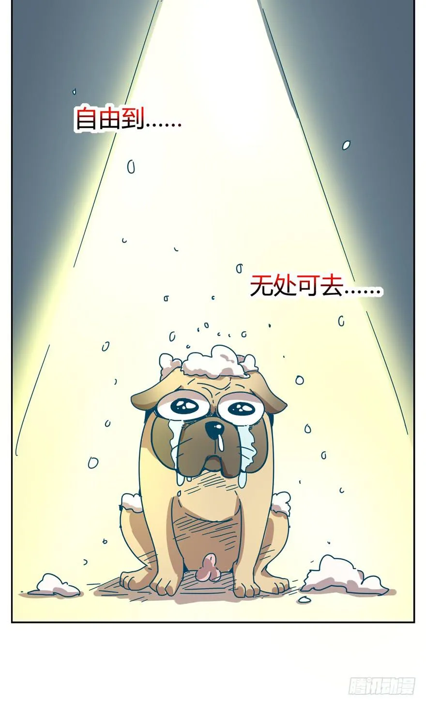 新年快乐！ 第44页