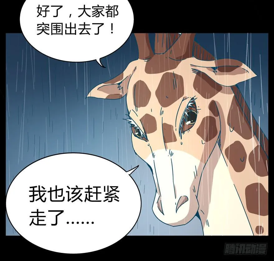 别抬头 会有抬头纹 第13页