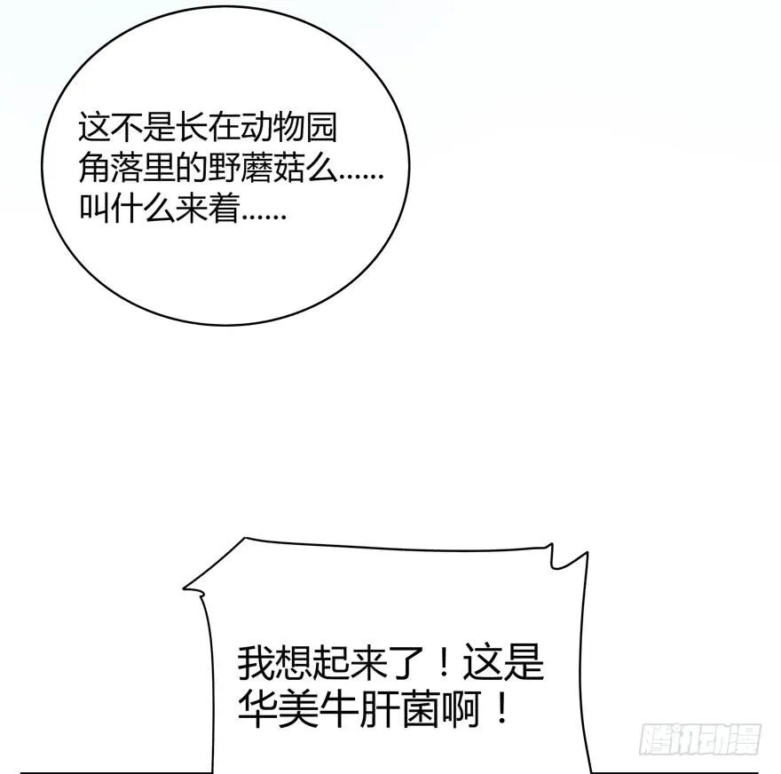 你吃过牛肝菌咩？ 第32页