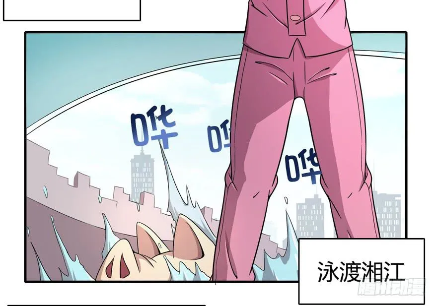 饲养为死，屠杀为生 第5页