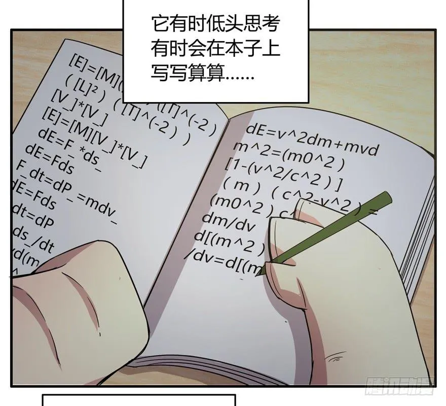 饲养为死，屠杀为生 第31页