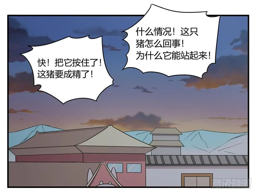 饲养为死，屠杀为生 第37页