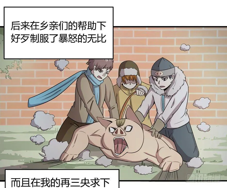 饲养为死，屠杀为生 第38页