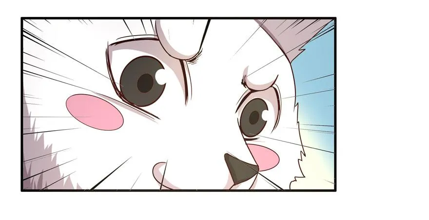 蝉 第13页