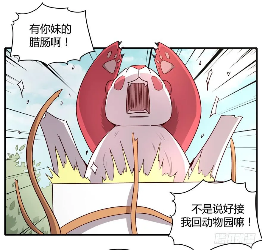 掉色 第27页