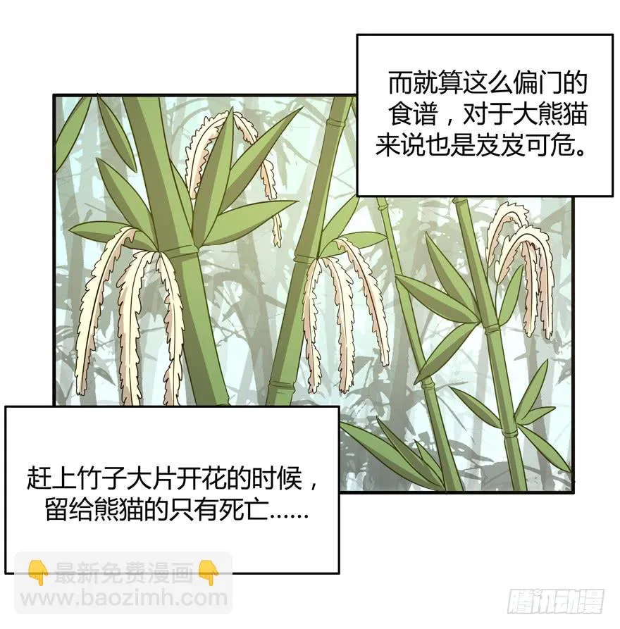 身被芙蓉 第19页