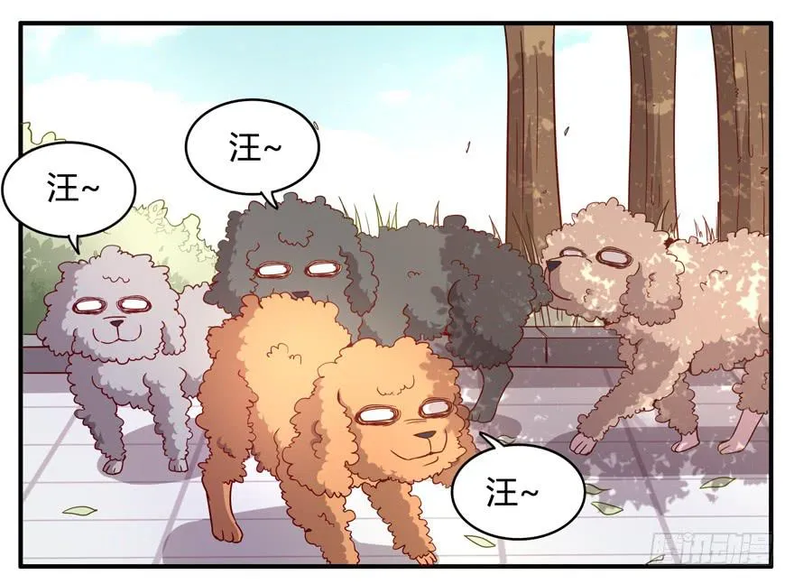 世界有我们许多不懂的地方 第37页