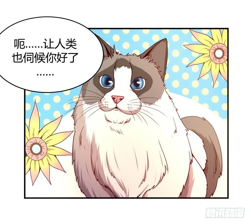 鱼锅风波 第11页