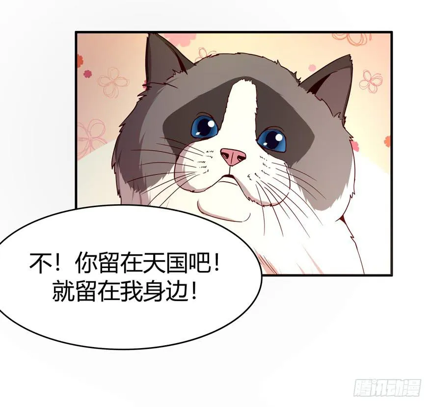 鱼锅风波 第12页