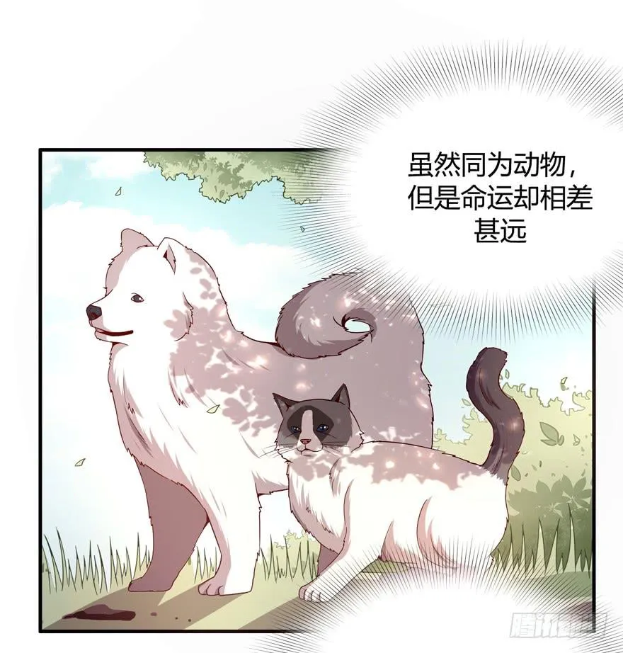 鱼锅风波 第13页