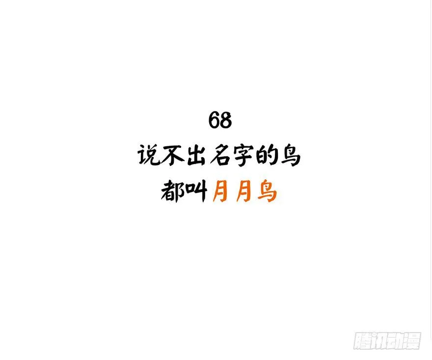 叫不出名字的鸟 都叫月月鸟 第2页