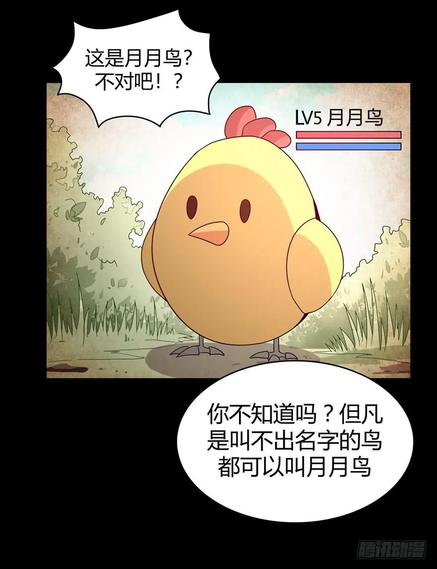叫不出名字的鸟 都叫月月鸟 第47页