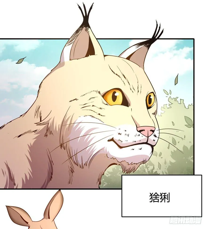 食梦兽----貘 第5页