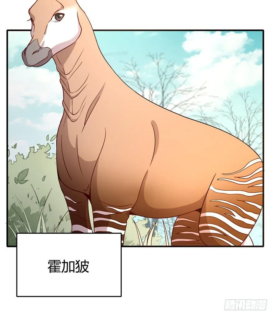食梦兽----貘 第6页