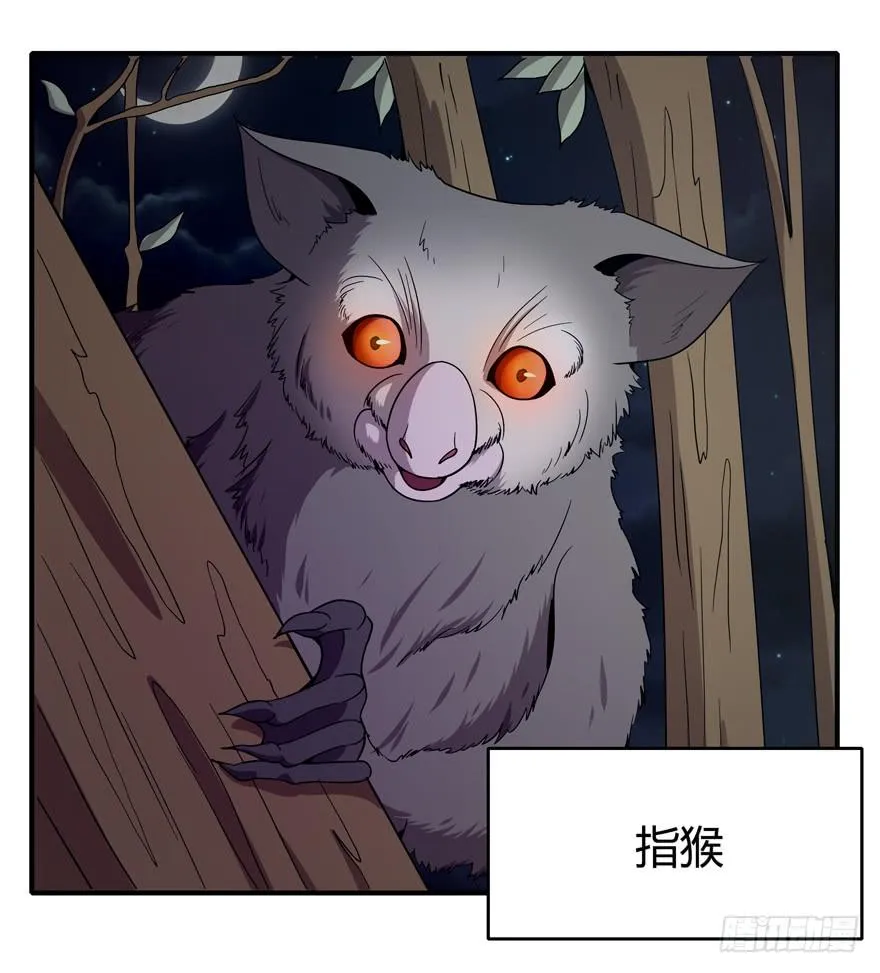 食梦兽----貘 第7页