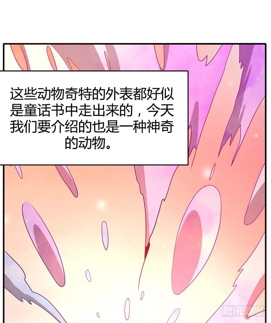 食梦兽----貘 第8页